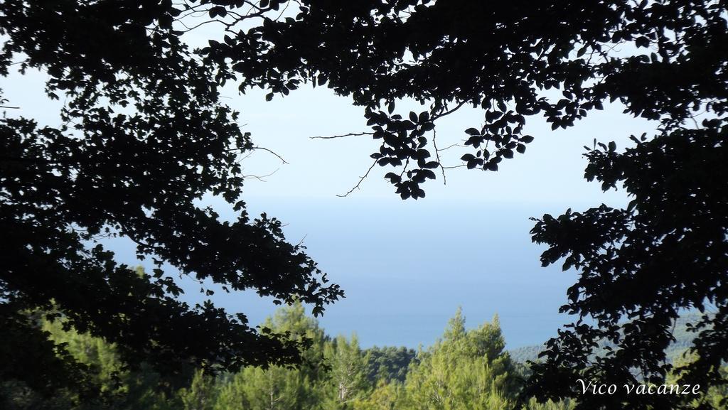 B&B Vico Vacanze Vico Del Gargano Buitenkant foto