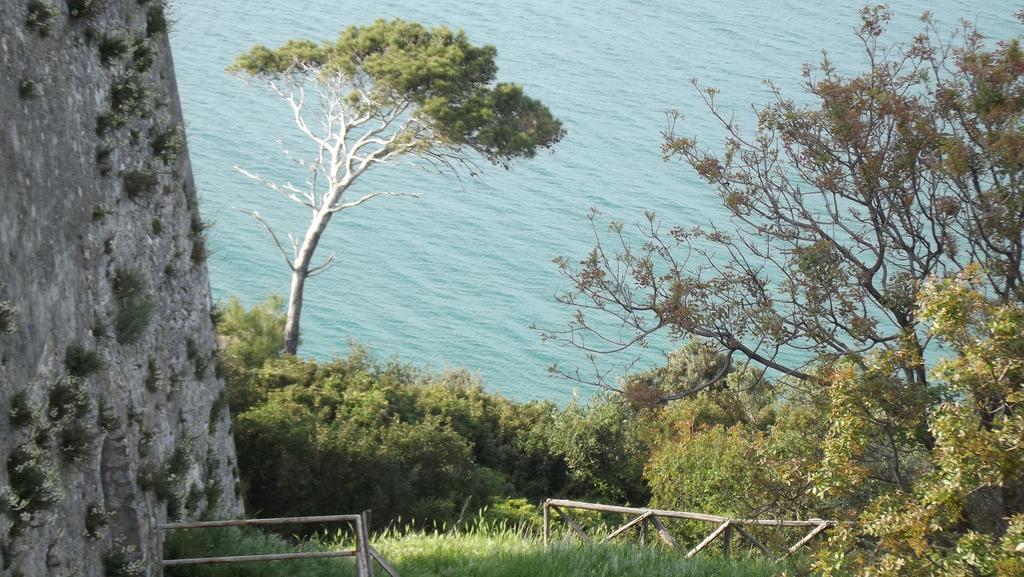 B&B Vico Vacanze Vico Del Gargano Buitenkant foto