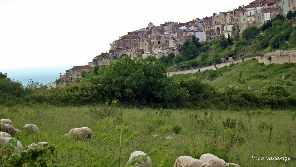 B&B Vico Vacanze Vico Del Gargano Buitenkant foto